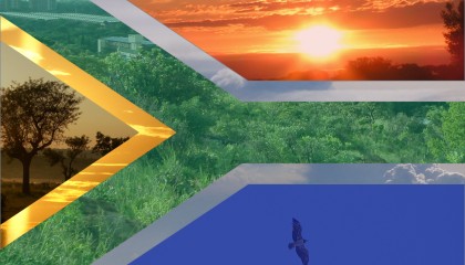 South African flag