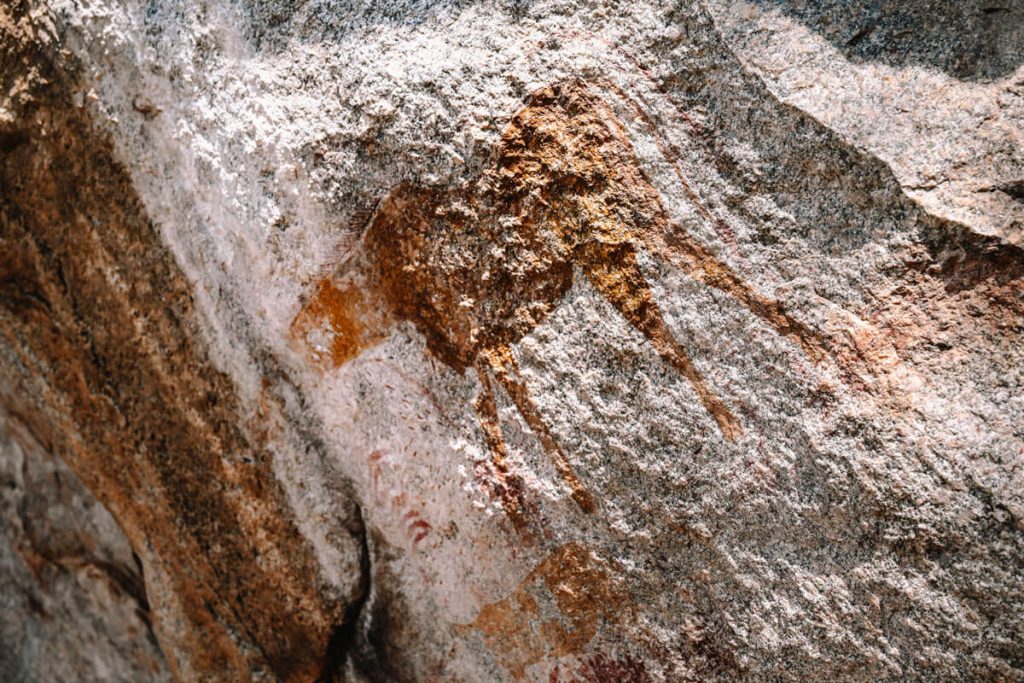 Stone Age rock art