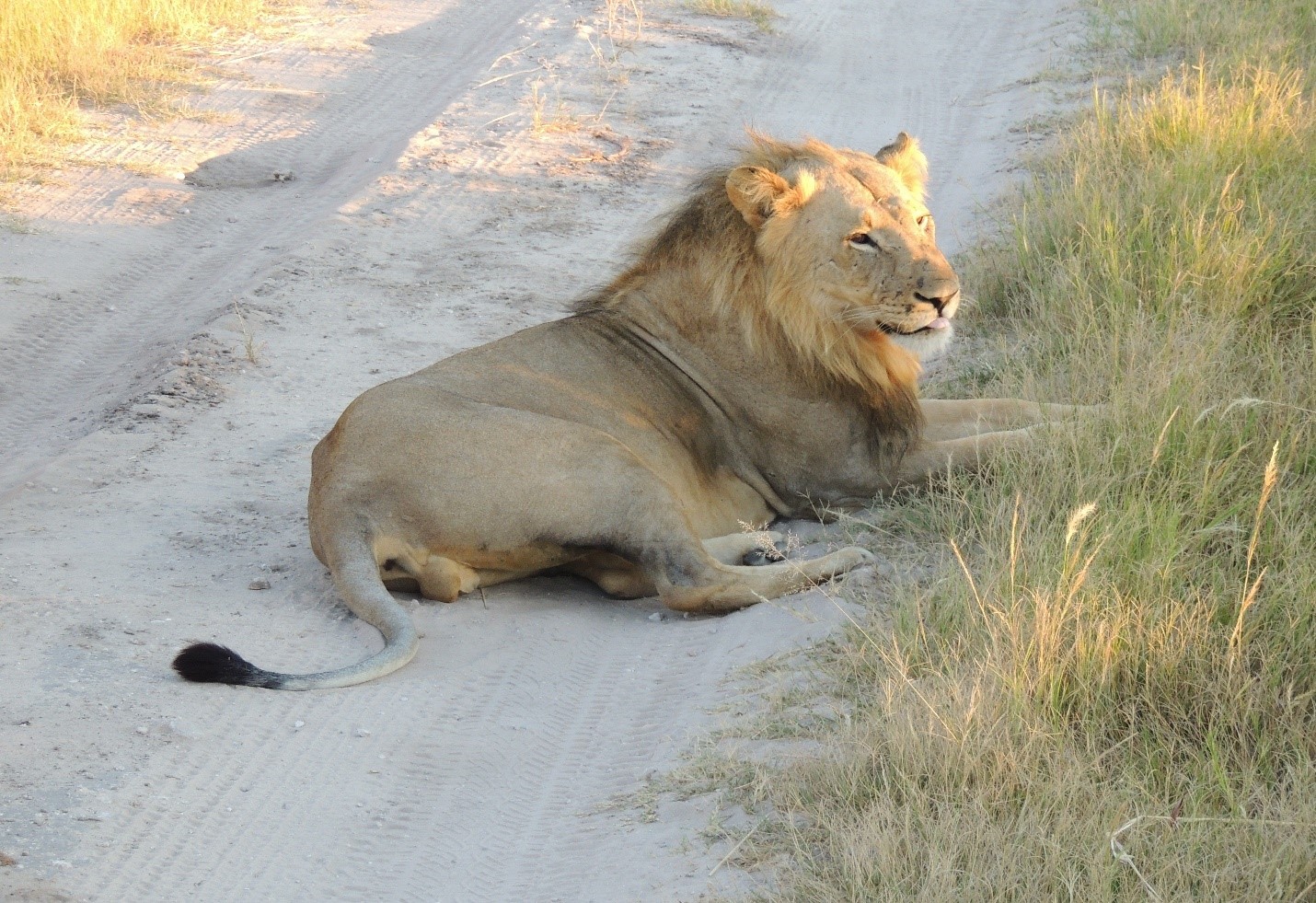 Rovos Rail Pretoria to Victoria Falls