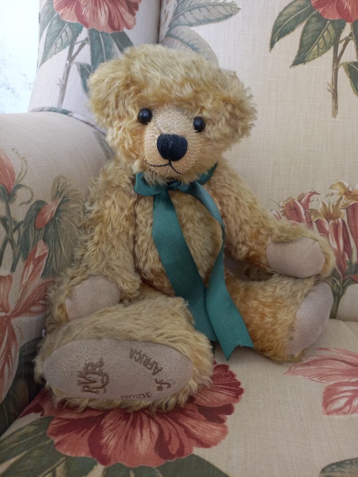 Pioneer Bear